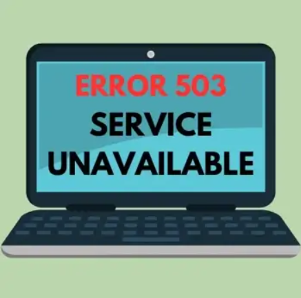 503 error